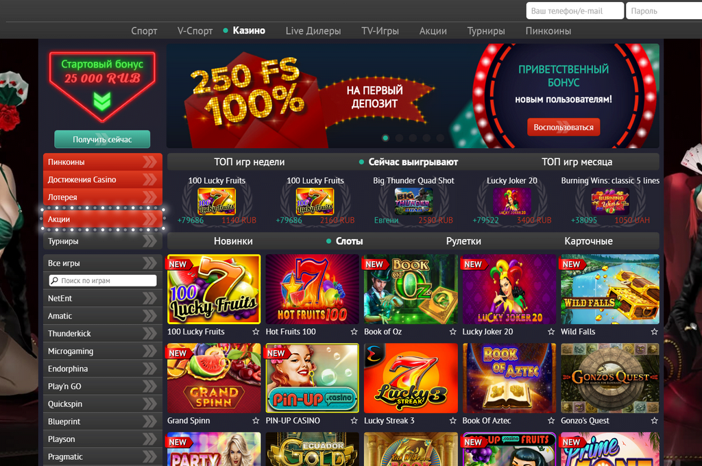 Pin-Up Gambling establishment: User experience